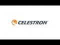Celestron LCD Digital Microscope II 44341