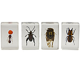Image of Celestron 3D Specimen Slide Kit #3