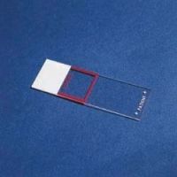 Erie Scientific Histology Control Plus Microscope Slides, Erie ...