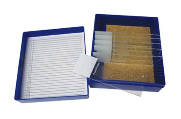 Image of Azer Scientific Control SLIDE, Massons ESCS-121