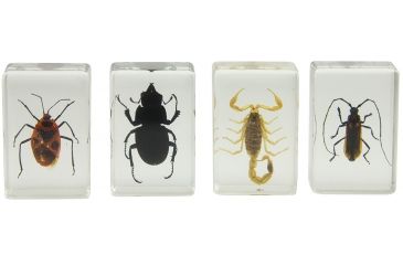 Image of Celestron 3D Specimen Slide Kit #1, Clear 44407