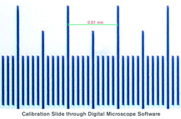 Image of Celestron Microscope Calibration Slides, 44401
