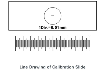 Image of Celestron Microscope Calibration Slides, 44401