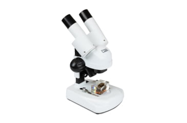 Image of Celestron S20A, Angled Stereo Microscope, White, 44137