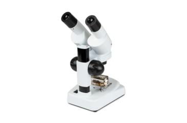 Image of Celestron S20A, Angled Stereo Microscope, White, 44137