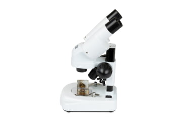 Image of Celestron S20A, Angled Stereo Microscope, White, 44137