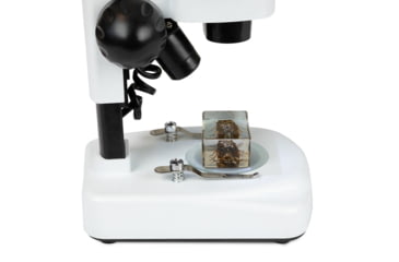Image of Celestron S20A, Angled Stereo Microscope, White, 44137