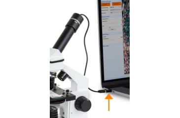 Image of Celestron USB-C to USB-A Converters, Pack of 2, 44426