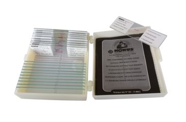 Image of Konus Prepared Slides for Konus Kids Microscopes, Set of 10, Animal Reproduction 4862