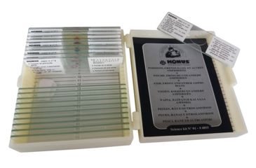 Image of Konus Prepared Slides for Konus Kids Microscopes, Set of 10, Fish, Frogs and Other Amphibians 4855