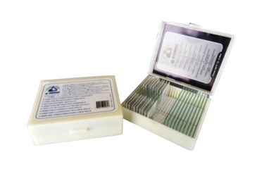 Image of Konus Prepared Slides for Konus Kids Microscopes, Set of 10, Set for Biology Teaching, Part 2 4964
