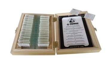 Image of Konus Prepared Slides for Konus Kids Microscopes, Set of 25, Botany, Angiospermae, Dicotyledons, Magnoliopsidae 4985