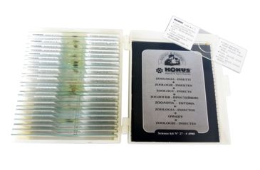 Image of Konus Prepared Slides for Konus Kids Microscopes, Set of 25, Zoology, Insects 4980