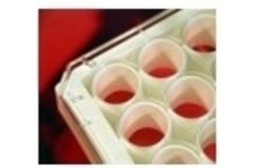 Image of Labnet Krystal Plates