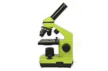 Image of Levenhuk 2L NG Microscope, Lime, Medium 24603