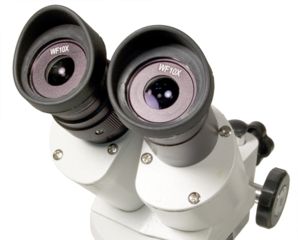 Image of Levenhuk 3ST Microscope, White, Medium 35323