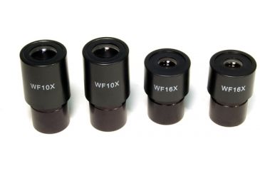 Image of Levenhuk 625 Biological Microscope, Black, Medium 27936