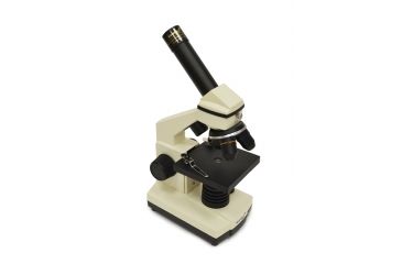 Image of Levenhuk D2L NG Digital Microscope, White, Medium 65704