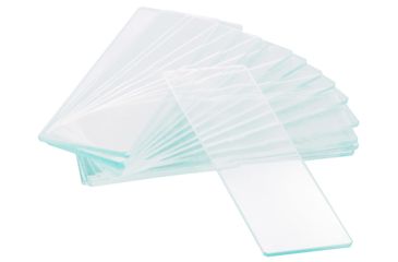 Image of Levenhuk G50 1H Single Cavity Blank Slides, 50 pcs, Small, 73808