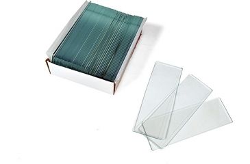 Image of Levenhuk G50 Blank Slides, 50 Pieces, Small 16281