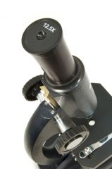 Image of Levenhuk NG Microscope- Blue, Medium 25648