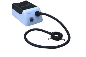 Image of LW Scientific Alpha 1502 Ring light guide, CREAM ILP-1502-RLG7