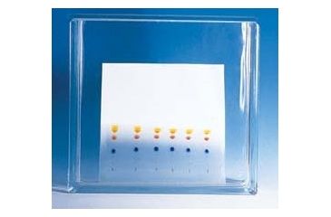 Image of Wheaton Tlc Developing Chamber Large 276860
