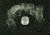 VWR Vwr Coverglass Cir #1 18mm Oz VWRCIR1-18MM, Unit ONZ