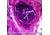 Barska Sample Slide - Human skin-sweat gland