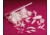 Bel-Art Fitting Assortment 76 Pieces F196250000