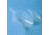 Bel-Art Scoops, Polypropylene, SCIENCEWARE 367560000