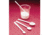Bel-Art Spoon Pp Sampler 5CC F367250000, Pack of 12