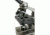 Carson 100-1000x Table Top Microscope w/Universal Smartphone Adapter for Microscopes, Black/Gray, MS-100SP