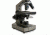 Carson 100-1000x Table Top Microscope w/Universal Smartphone Adapter for Microscopes, Black/Gray, MS-100SP