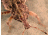 Celestron FlipView Handheld LCD Microscope 44314
