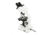 Celestron Labs CB1000CF Biological Microscope, 0.91 in, LED, Dial, White, 44135