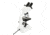 Celestron Labs CB1000CF Biological Microscope, 0.91 in, LED, Dial, White, 44135