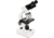 Celestron Labs CB2000CF Compound Binocular Microscope,10x,20x Eyepieces,4x,10x,40x,100x Achromatic Objective Lenses 44131