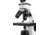 Celestron Labs CM400 Biological Microscope, 0.91 in, LED, White, 44133