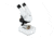 Celestron S20A, Angled Stereo Microscope, White, 44137