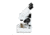 Celestron S20A, Angled Stereo Microscope, White, 44137