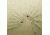 Erie Scientific Micro Slides, Plain, Culture, Single Depression, Erie Scientific 1526