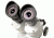 Levenhuk 3ST Microscope, White, Medium 35323