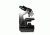 Levenhuk 850B Binocular Microscope, Black, Medium 24611