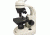 Levenhuk D50L NG Digital Microscope, White, Medium 66798