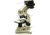 Levenhuk D70L Digital Biological Microscope, Silver, Medium 66826