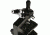 Levenhuk D870T Digital Trinocular Microscope, Black, Medium 40030