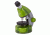 Levenhuk LabZZ M101 Lime Microscope, Lime, 69059