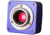 Levenhuk M800 PLUS Microscope Digital Camera, Violet, Small, 70357