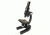 Levenhuk NG Microscope- Blue, Medium 25648